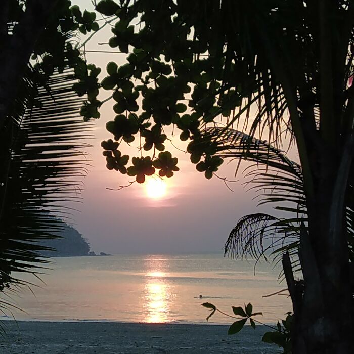 A Hidden Island Of Dreams