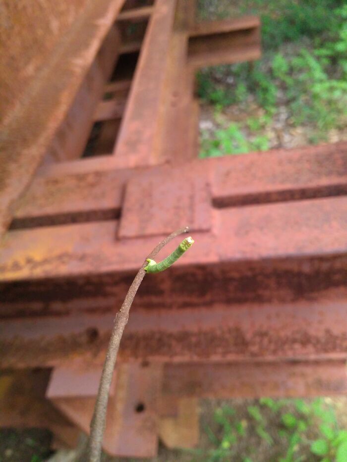 Hey You! Wanna See My Face!