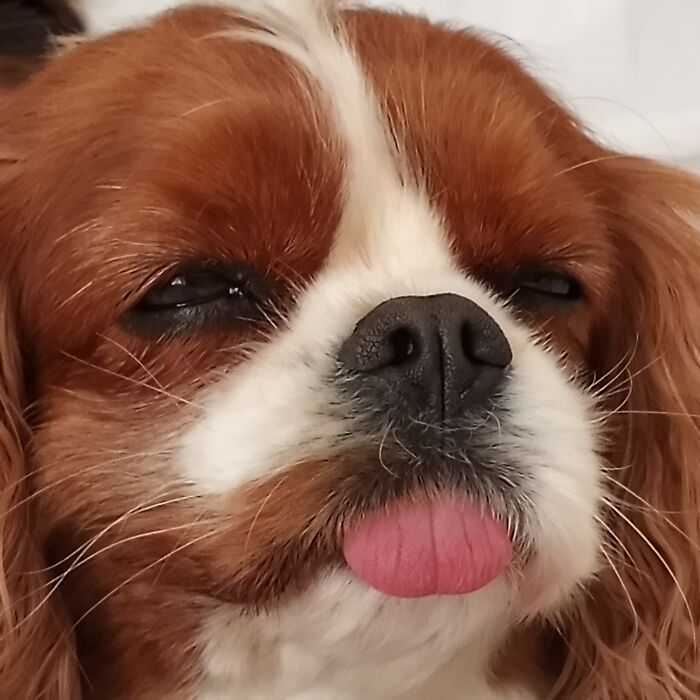 He Was Pretty Sleepy