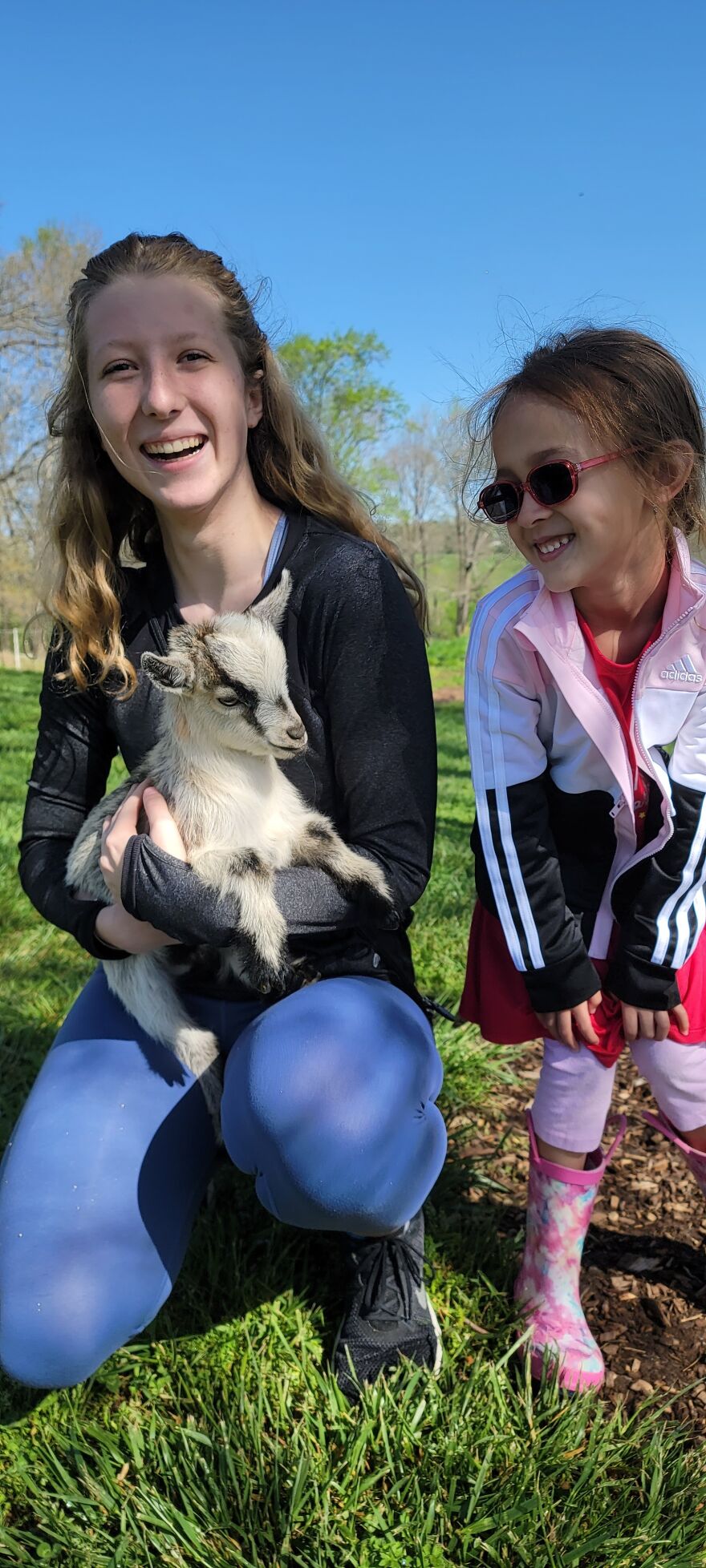 Baby Goats Are Just The Cutest!