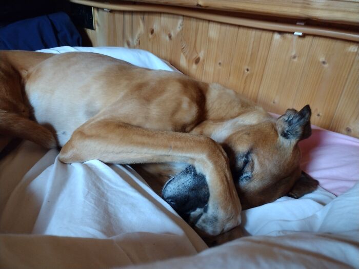 If I Cover My Face They Cannot See Me.