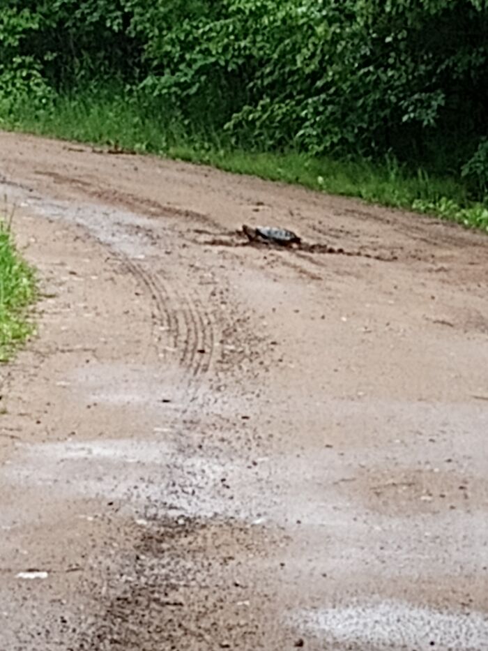 Off Roading And Being In The Woods Surrounded By Nature.