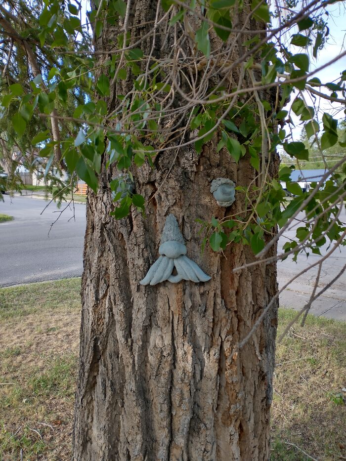 Do Magic Trees Count?