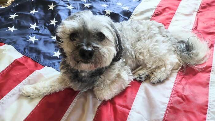 America And A Miracle!