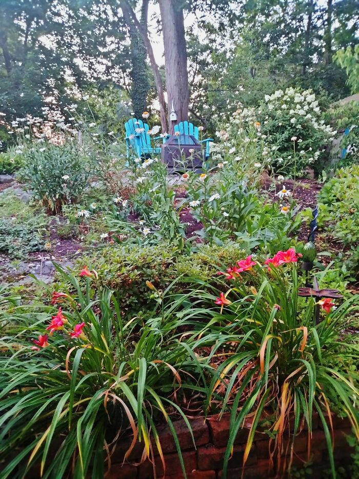 Lilies, Shasta Daisies & Hydrangea