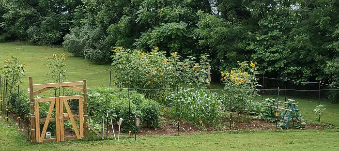 From My Bedroom Window, I Look At It First Thing In The Morning.