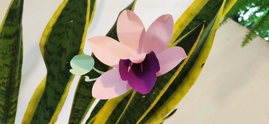 My Paper-Craft Orchid Designs My Paper-Craft Orchid Designs