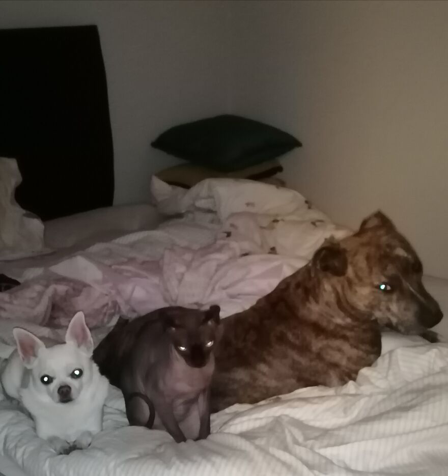 Is It Breakfast Time???