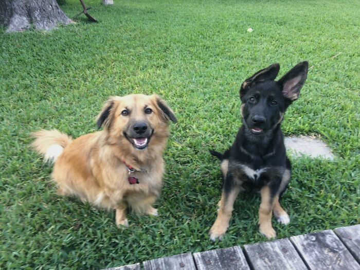 These Two Make Everything Better! ❤