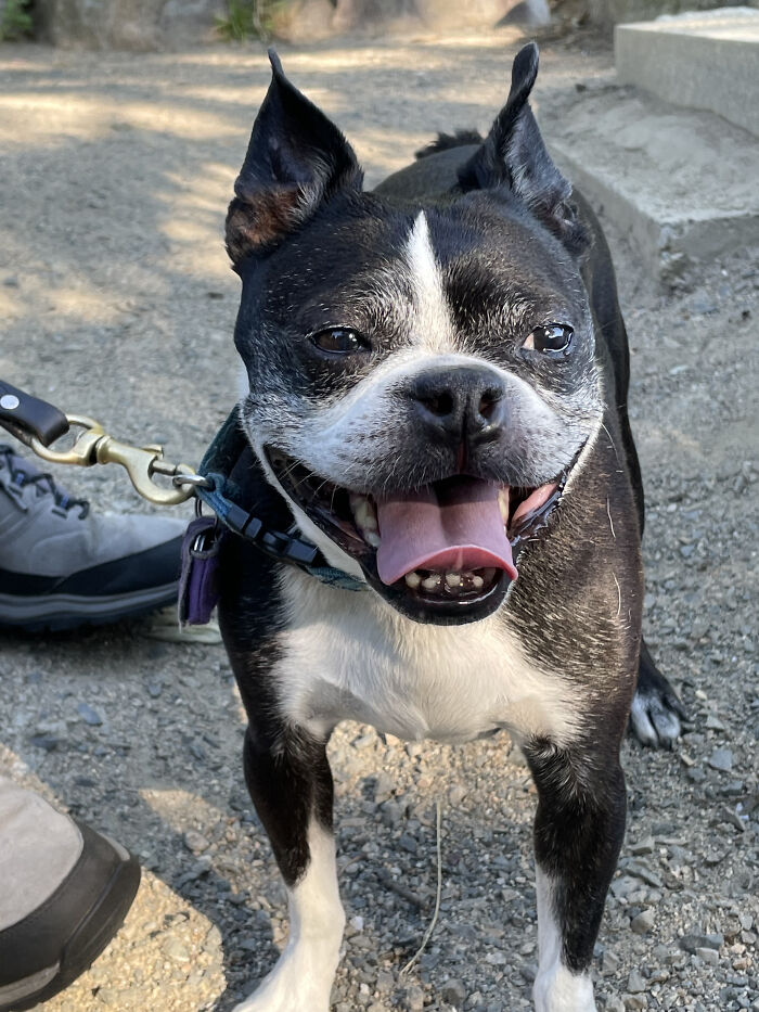 Spending Time Outdoors With My Best Lil' Guy