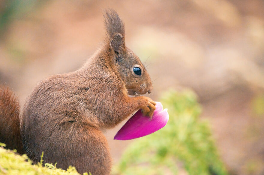 I Worked Together With A Talented Belgian Flower Artist And These Are My 15 Best Shots
