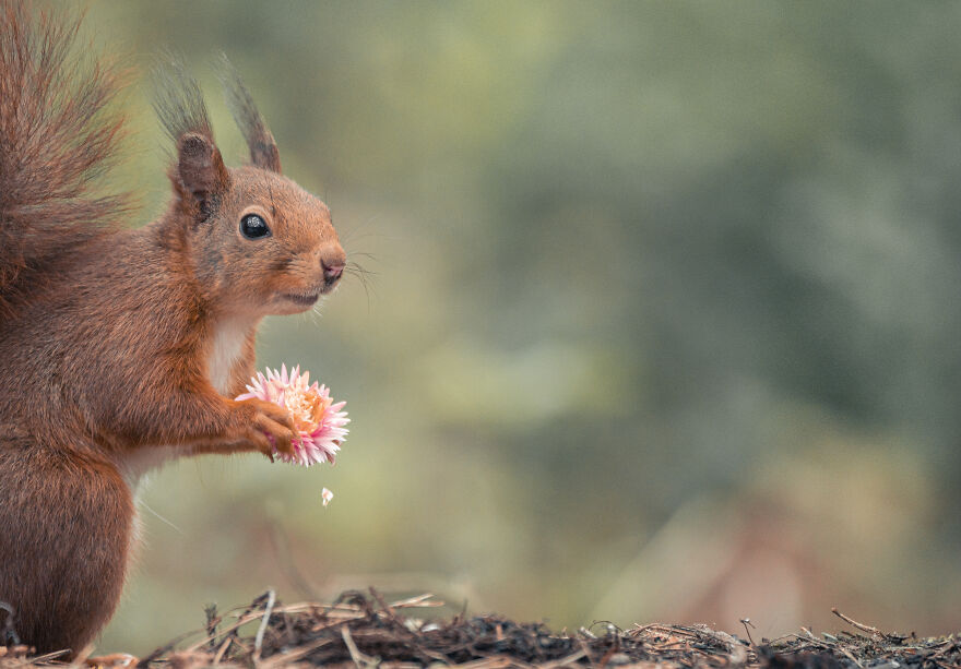 I Worked Together With A Talented Belgian Flower Artist And These Are My 15 Best Shots