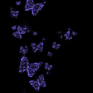 TheLessTalentedWrightBrothers