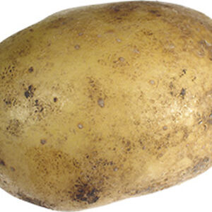 maxx_castillo avatar