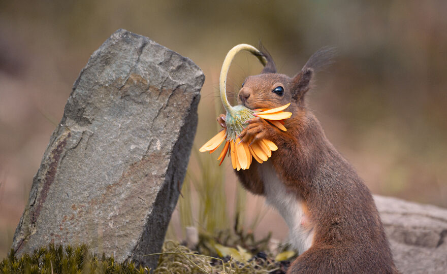 I Worked Together With A Talented Belgian Flower Artist And These Are My 15 Best Shots