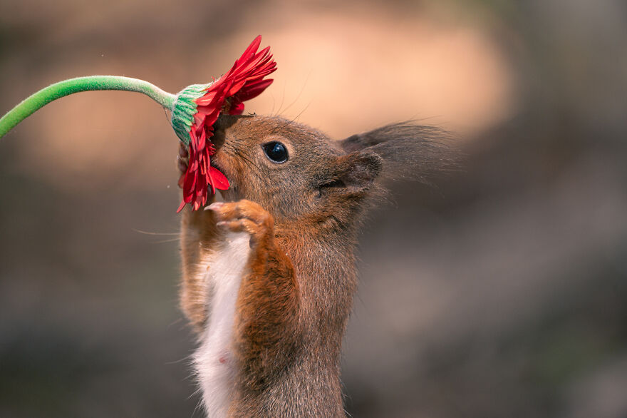 I Worked Together With A Talented Belgian Flower Artist And These Are My 15 Best Shots