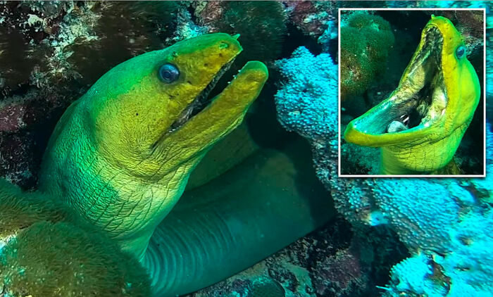 Pop: It's Monday Morning In The Office And There's An Inch Of Coffee Left