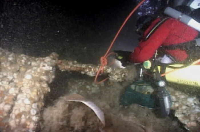 25 Datos curiosos que nadie preguntó