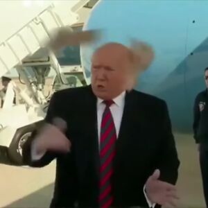 luciusmarks10 avatar