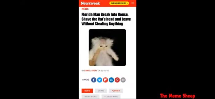 Something I Saw Earlier On Youtube