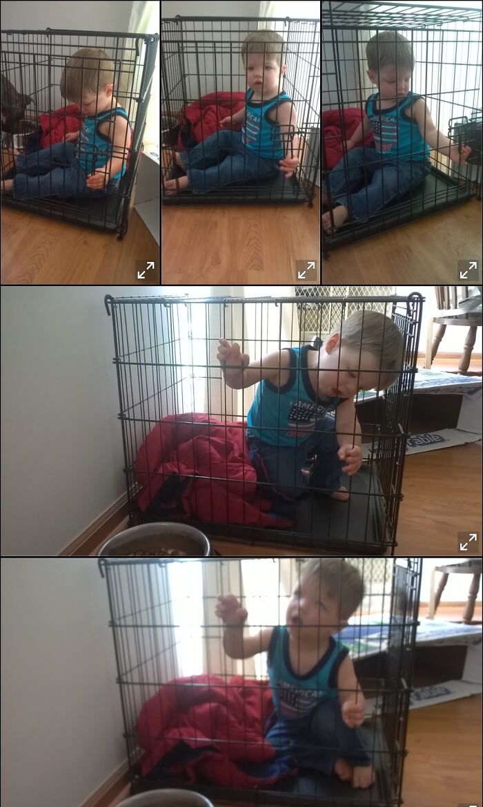 Wanna Get In The Dog Crate And Play Zombie?