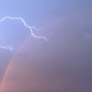 adriennelembke avatar