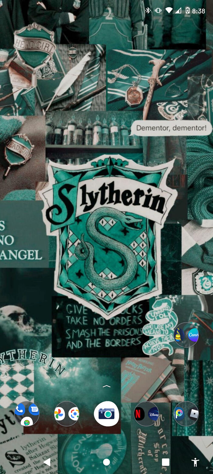 Slytherin Collage (I Didn't Make It I Found It On Zedge)