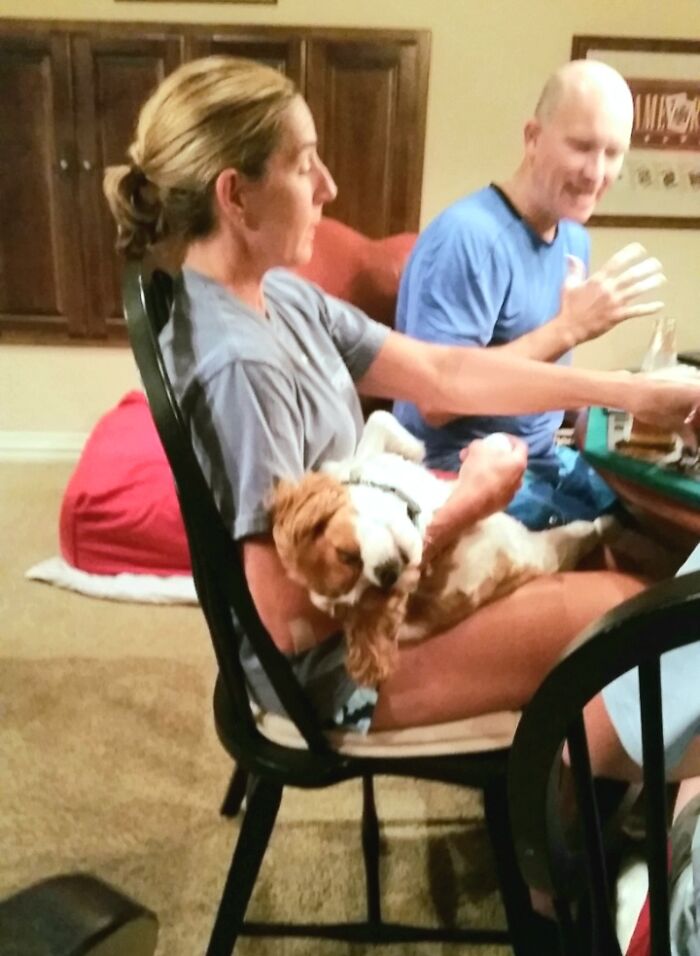 I Assure You, This Dig Is Very Much Alive