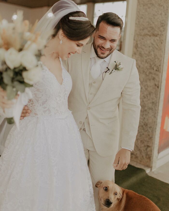This Stray Dog "Invaded" A Wedding And Ended Up Being Adopted By The Newlyweds