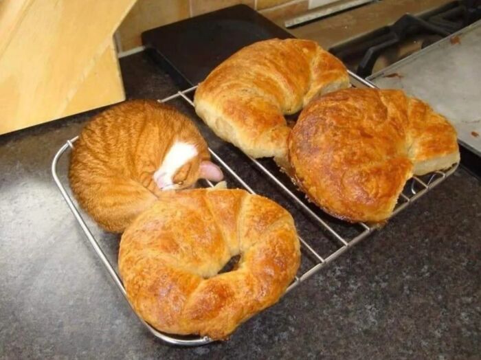 This Facebook Page Shares “Things That Make You Go Hmmm”, And Here Are 50 Of Its Best Posts