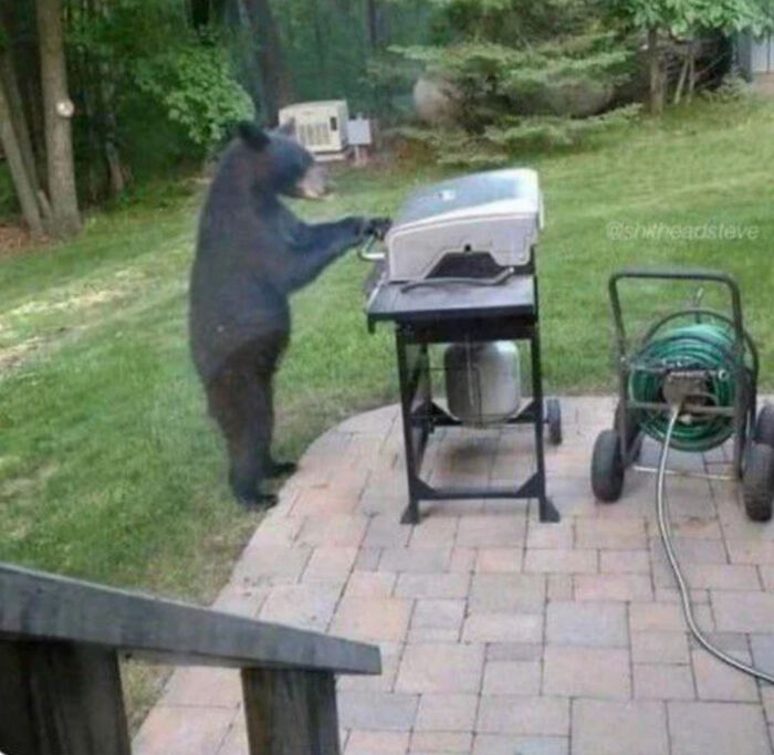 This Facebook Page Shares “Things That Make You Go Hmmm”, And Here Are 50 Of Its Best Posts