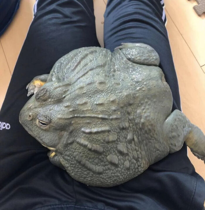 This Facebook Page Shares “Things That Make You Go Hmmm”, And Here Are 50 Of Its Best Posts