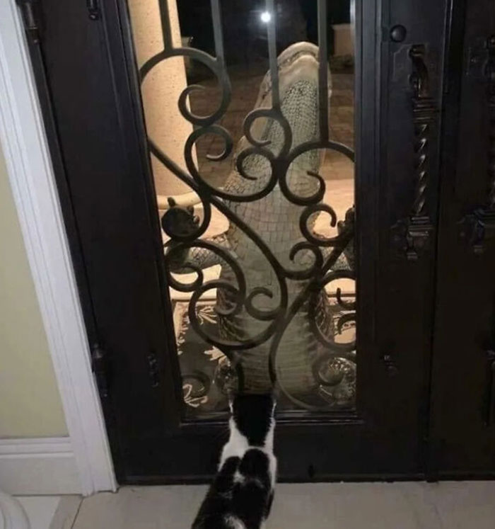 This Facebook Page Shares “Things That Make You Go Hmmm”, And Here Are 50 Of Its Best Posts