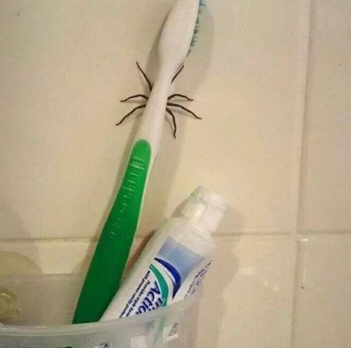 This Facebook Page Shares “Things That Make You Go Hmmm”, And Here Are 50 Of Its Best Posts