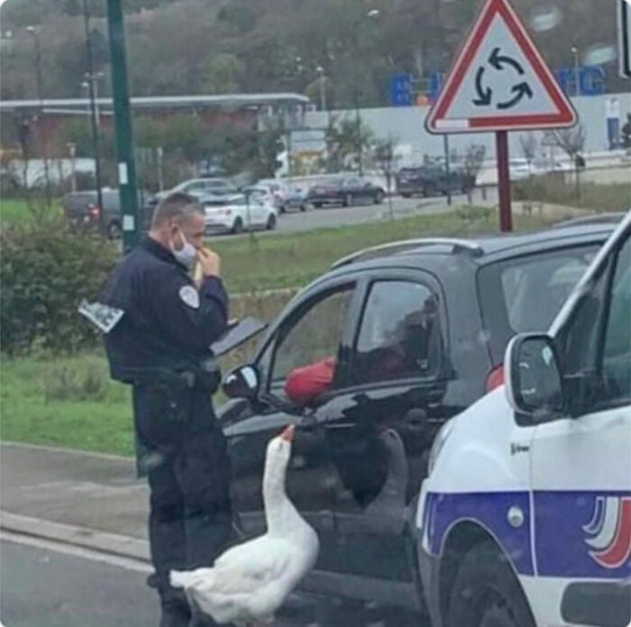 This Facebook Page Shares “Things That Make You Go Hmmm”, And Here Are 50 Of Its Best Posts