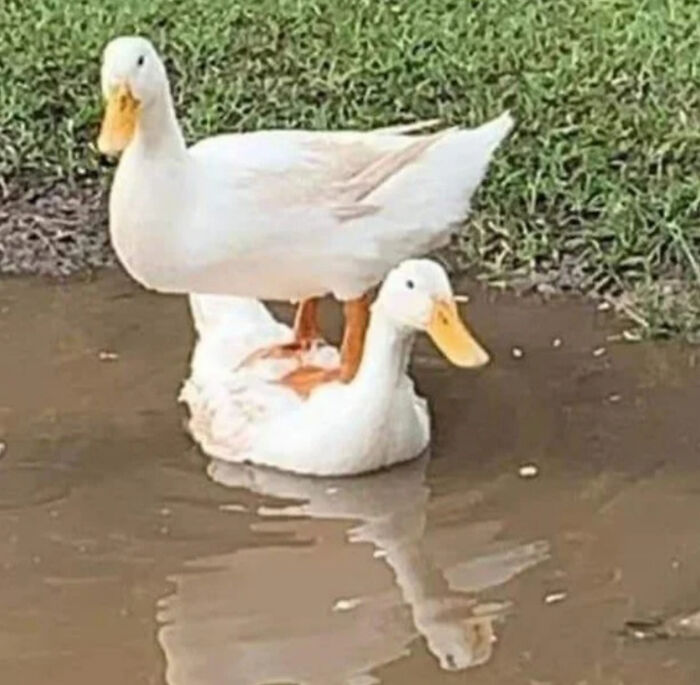 This Facebook Page Shares “Things That Make You Go Hmmm”, And Here Are 50 Of Its Best Posts