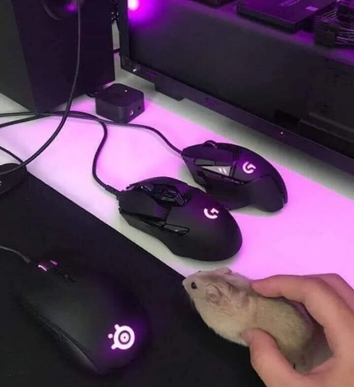 This Facebook Page Shares “Things That Make You Go Hmmm”, And Here Are 50 Of Its Best Posts