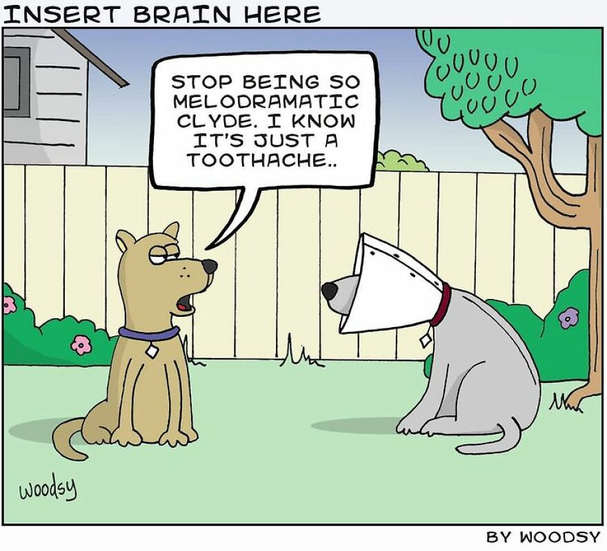 This Artist Creates Hilarious And Funny Single Panel Comics