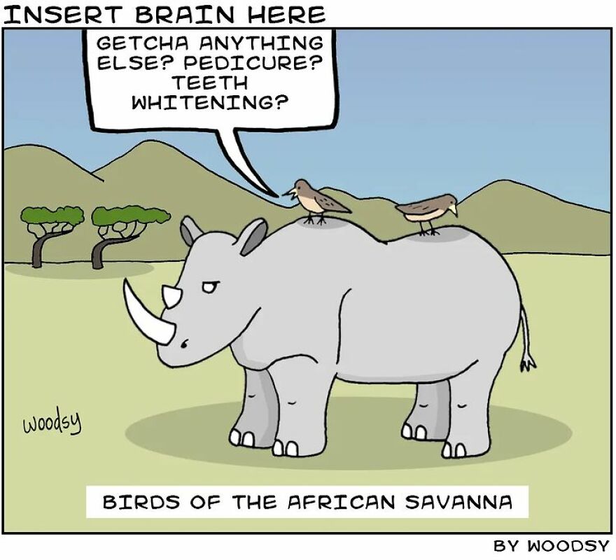 This Artist Creates Hilarious And Funny Single Panel Comics