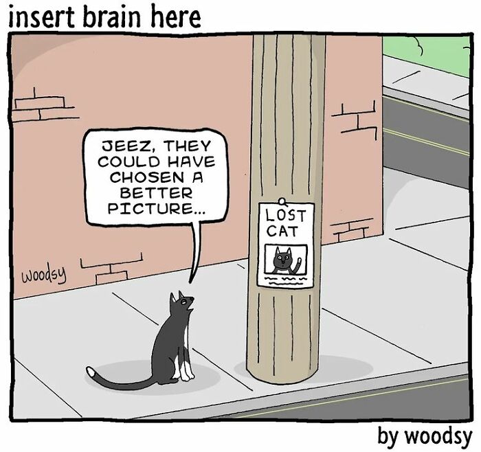 Black cat critiques lost cat poster in absurd situations and silly humor comic by Paul Woods.
