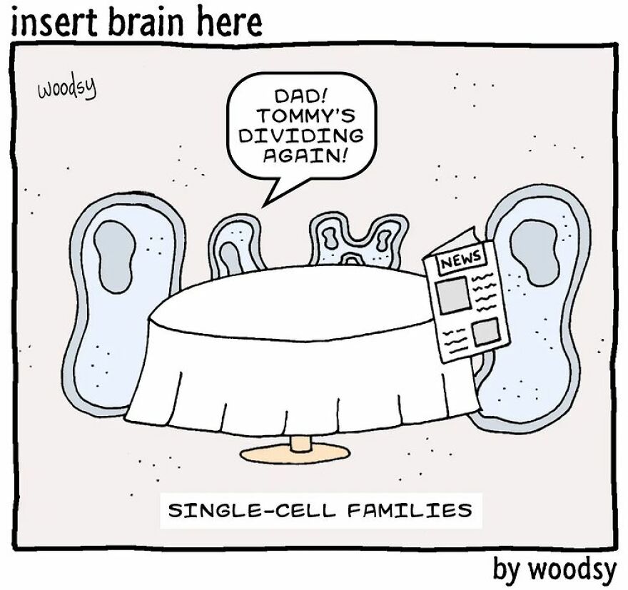 This Artist Creates Hilarious And Funny Single Panel Comics