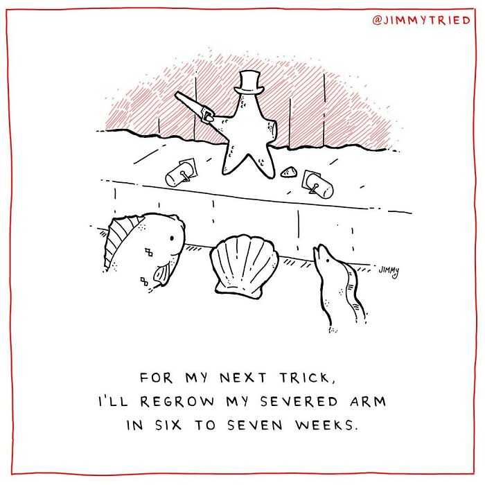 This Artist Will Be Able To Make You Laugh With His Comics From A Single Panel