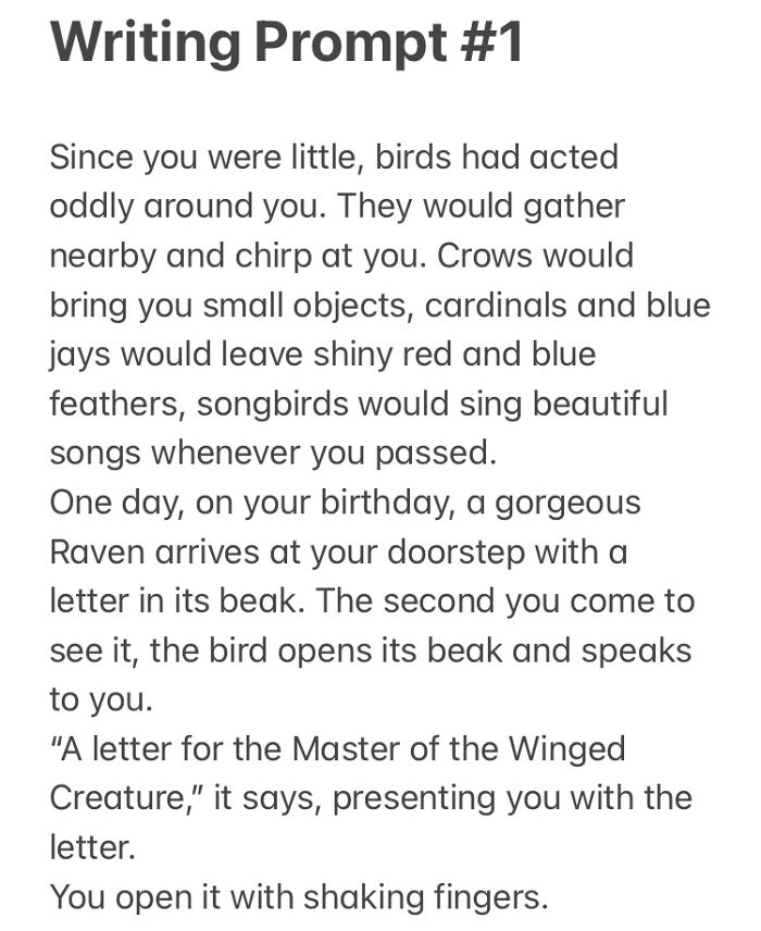 What Did The Letter Say?