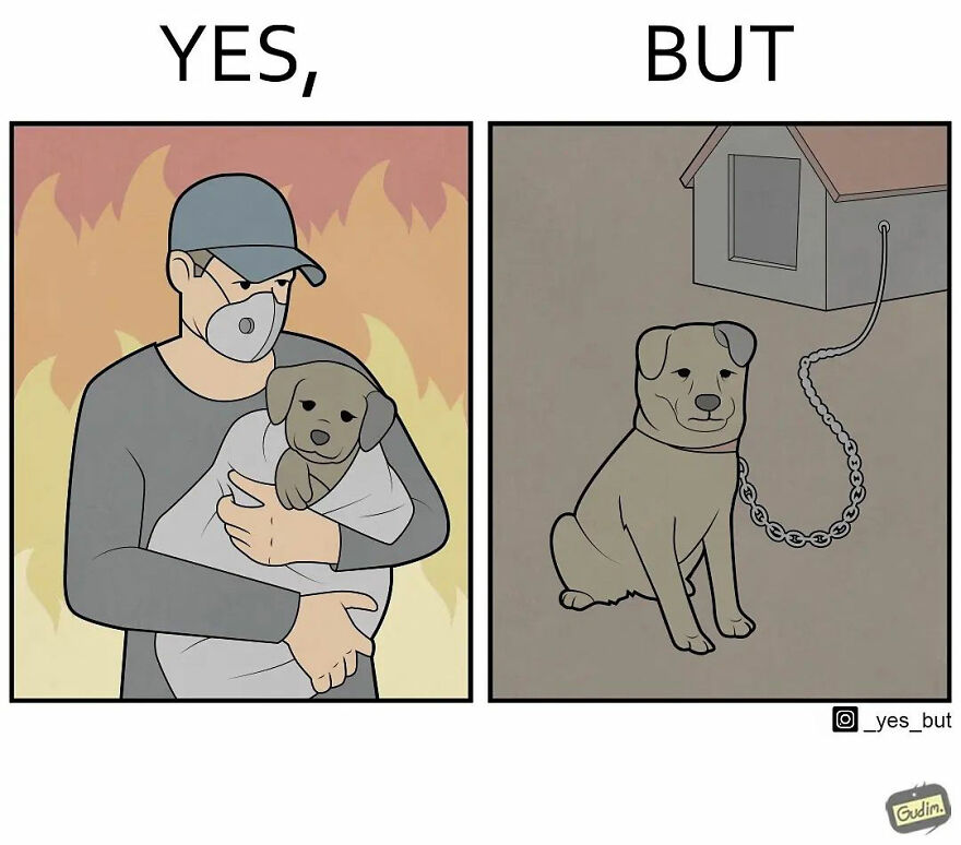 "Yes, But": A Series Of Sarcastic Comics Anton Gudim (25 New Pics)