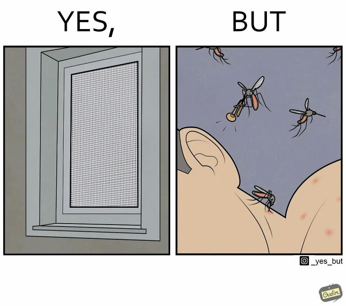Illustration by Anton Gudim showing a window screen on one side and mosquitoes biting a person on the other side.