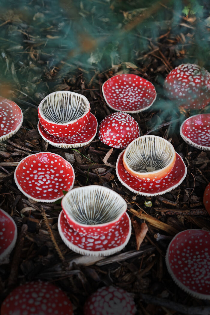 Amanita Cups And Saucers