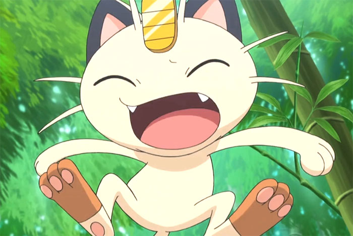 Meowth hurth