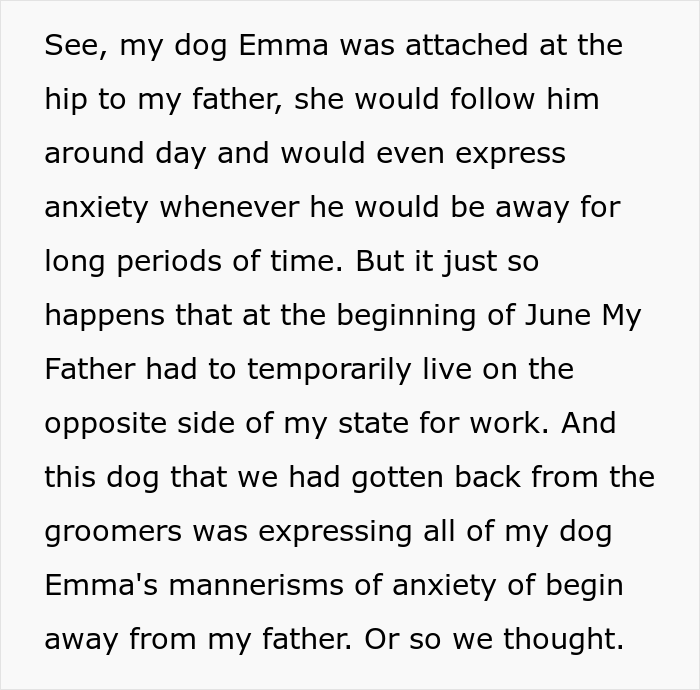 "Mentally, She Was Not There": Person Gets Their Dog Back From The Groomer, Realizes It’s Acting Weird But Keeps Living With It For Four Months Until The Truth Comes Out "Mentally, She Was Not There": Person Gets Their Dog Back From The Groomer, Realizes It’s Acting Weird But Keeps Living With It For Four Months Until The Truth Comes Out