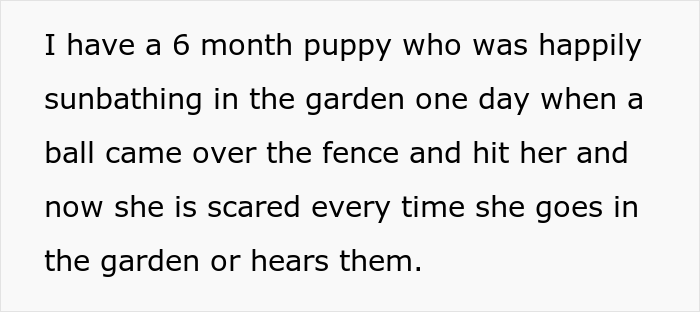 Person Refuses To Put Up With Neighbor's Kid After One Of The Balls He's Constantly Kicking Over The Fence Hits Their Puppy - 3