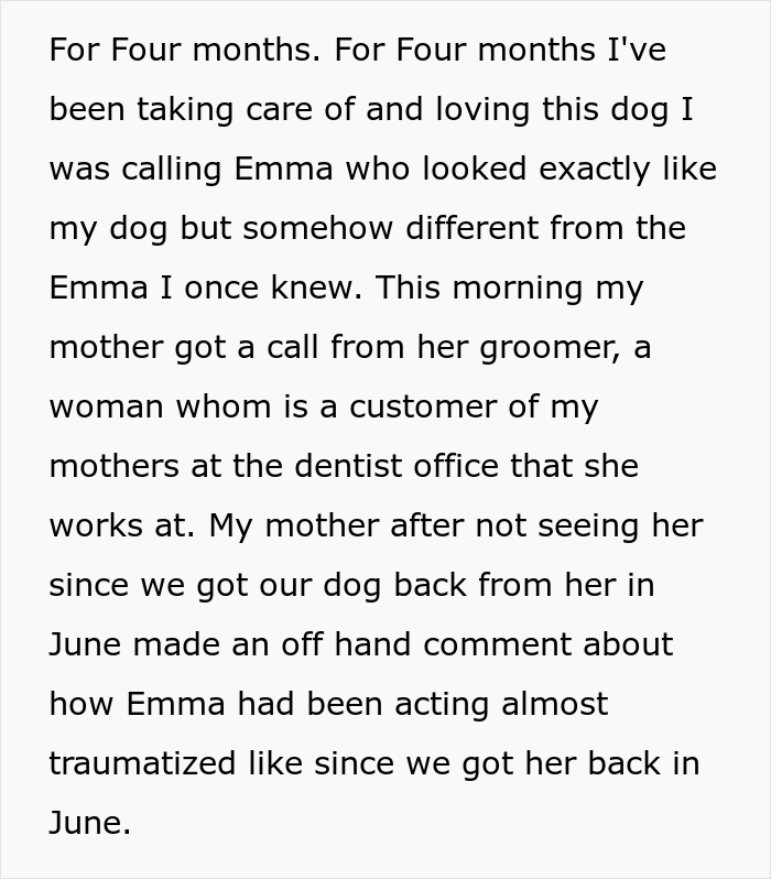 "Mentally, She Was Not There": Person Gets Their Dog Back From The Groomer, Realizes It’s Acting Weird But Keeps Living With It For Four Months Until The Truth Comes Out "Mentally, She Was Not There": Person Gets Their Dog Back From The Groomer, Realizes It’s Acting Weird But Keeps Living With It For Four Months Until The Truth Comes Out